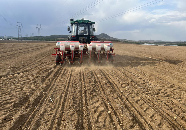 機械化播種作業(yè)。受訪者供圖